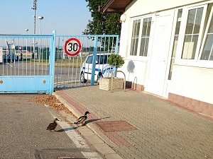 Přichází návštěva :@)